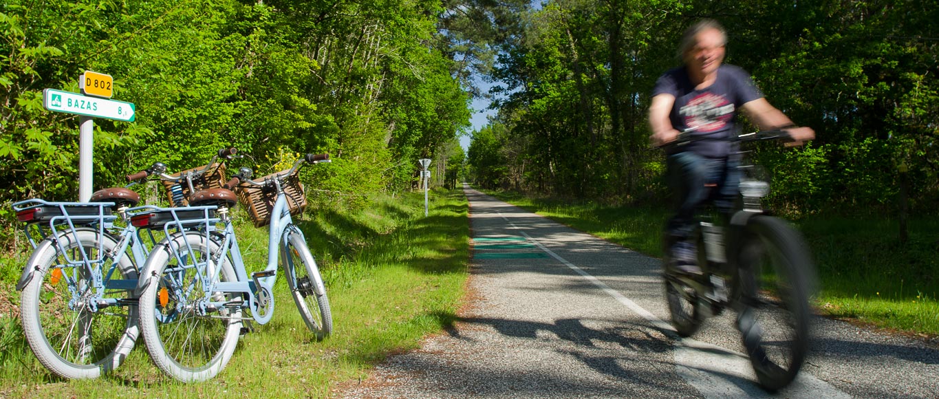 Location de vélos et vélos électriques : voie verte Bazas en Sud-Gironde